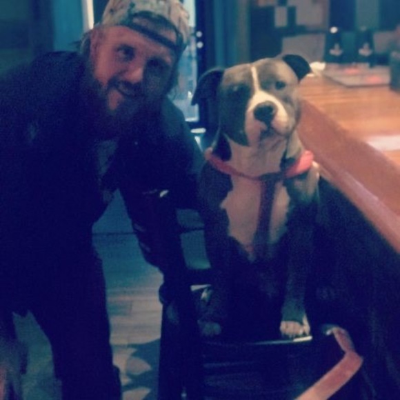 Meet your Posher, Hunter - Picture 1 of 1